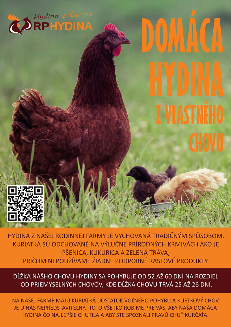 chicken-2 chicken-2